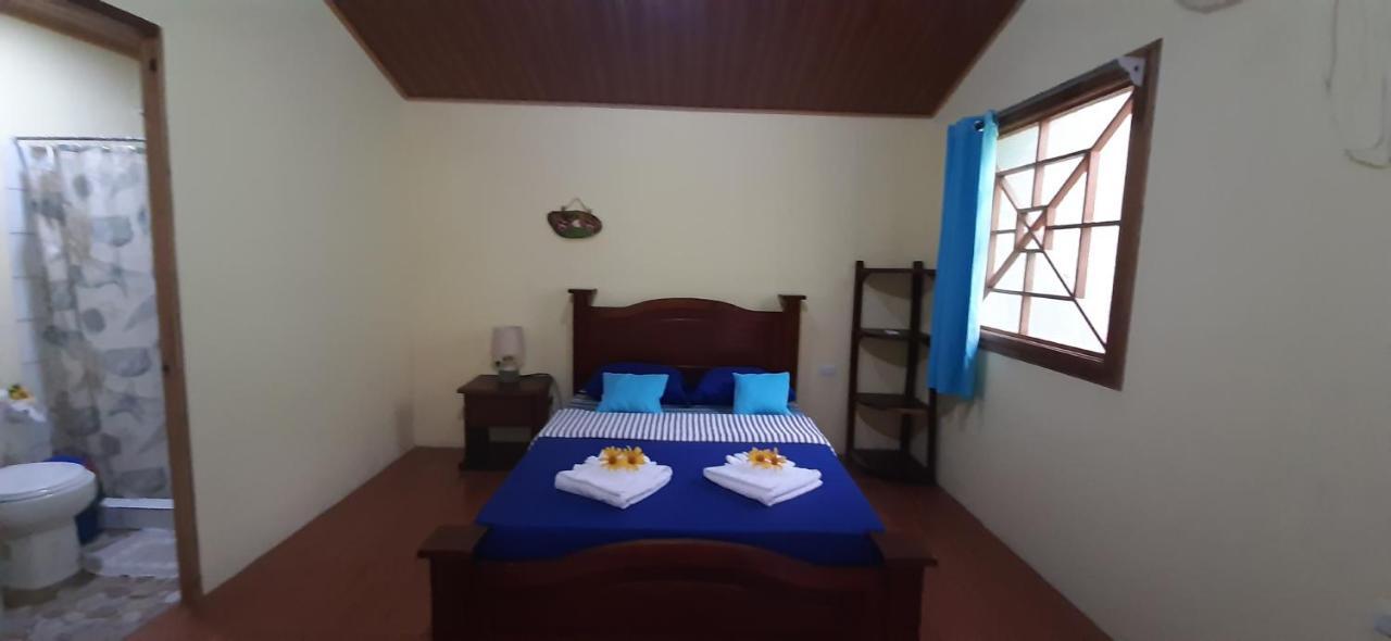 Garden Of Heliconias Lodge Drake Bay Ngoại thất bức ảnh