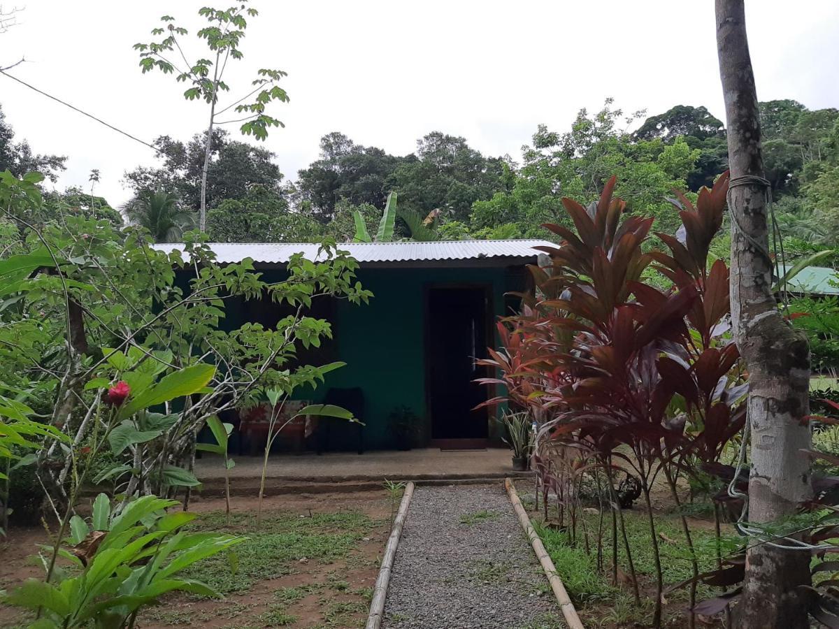 Garden Of Heliconias Lodge Drake Bay Ngoại thất bức ảnh