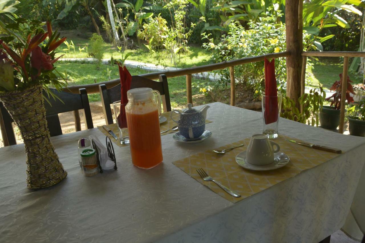 Garden Of Heliconias Lodge Drake Bay Ngoại thất bức ảnh