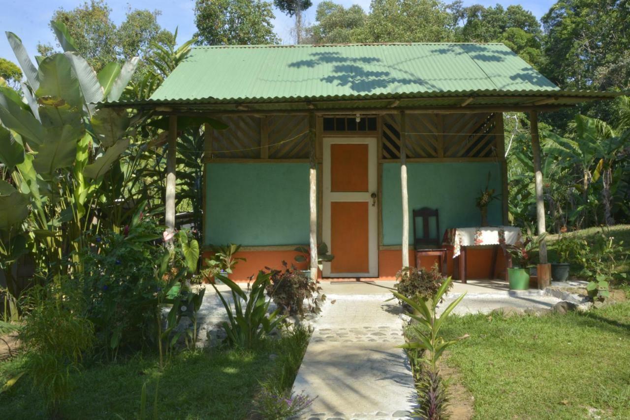 Garden Of Heliconias Lodge Drake Bay Ngoại thất bức ảnh