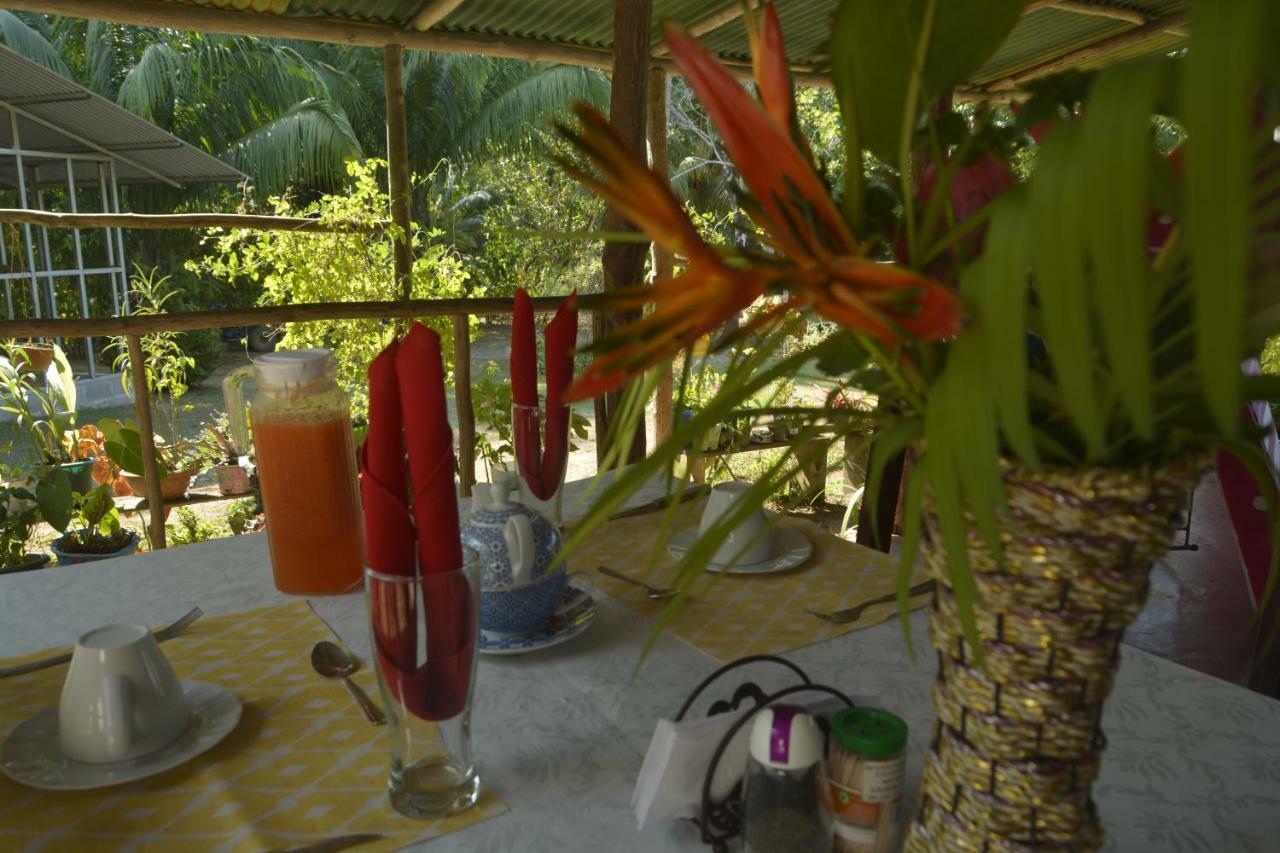 Garden Of Heliconias Lodge Drake Bay Ngoại thất bức ảnh