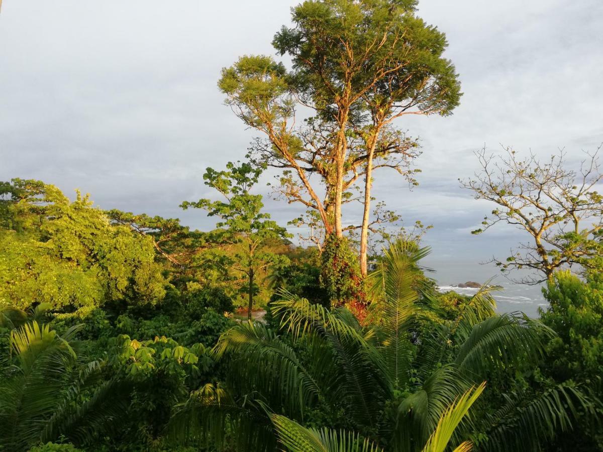 Garden Of Heliconias Lodge Drake Bay Ngoại thất bức ảnh
