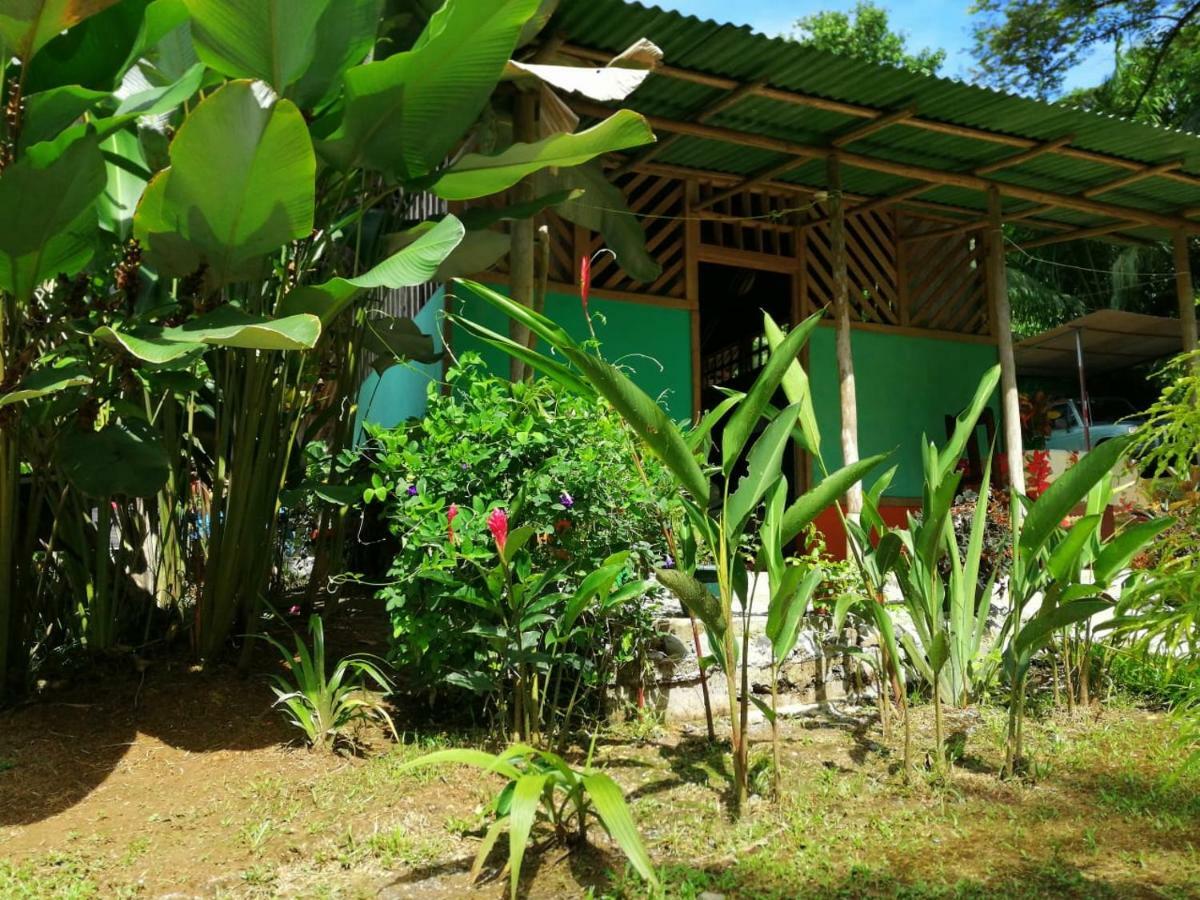 Garden Of Heliconias Lodge Drake Bay Ngoại thất bức ảnh