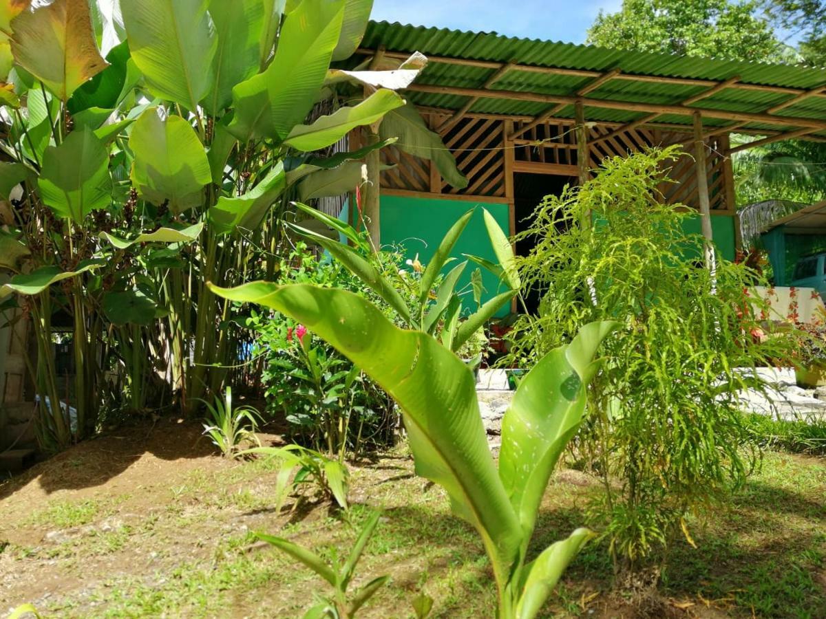 Garden Of Heliconias Lodge Drake Bay Ngoại thất bức ảnh